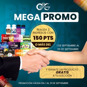 MEGA PROMO INGRESOS